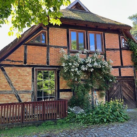Pfarrhaus Tollensesee Penzlin Экстерьер фото
