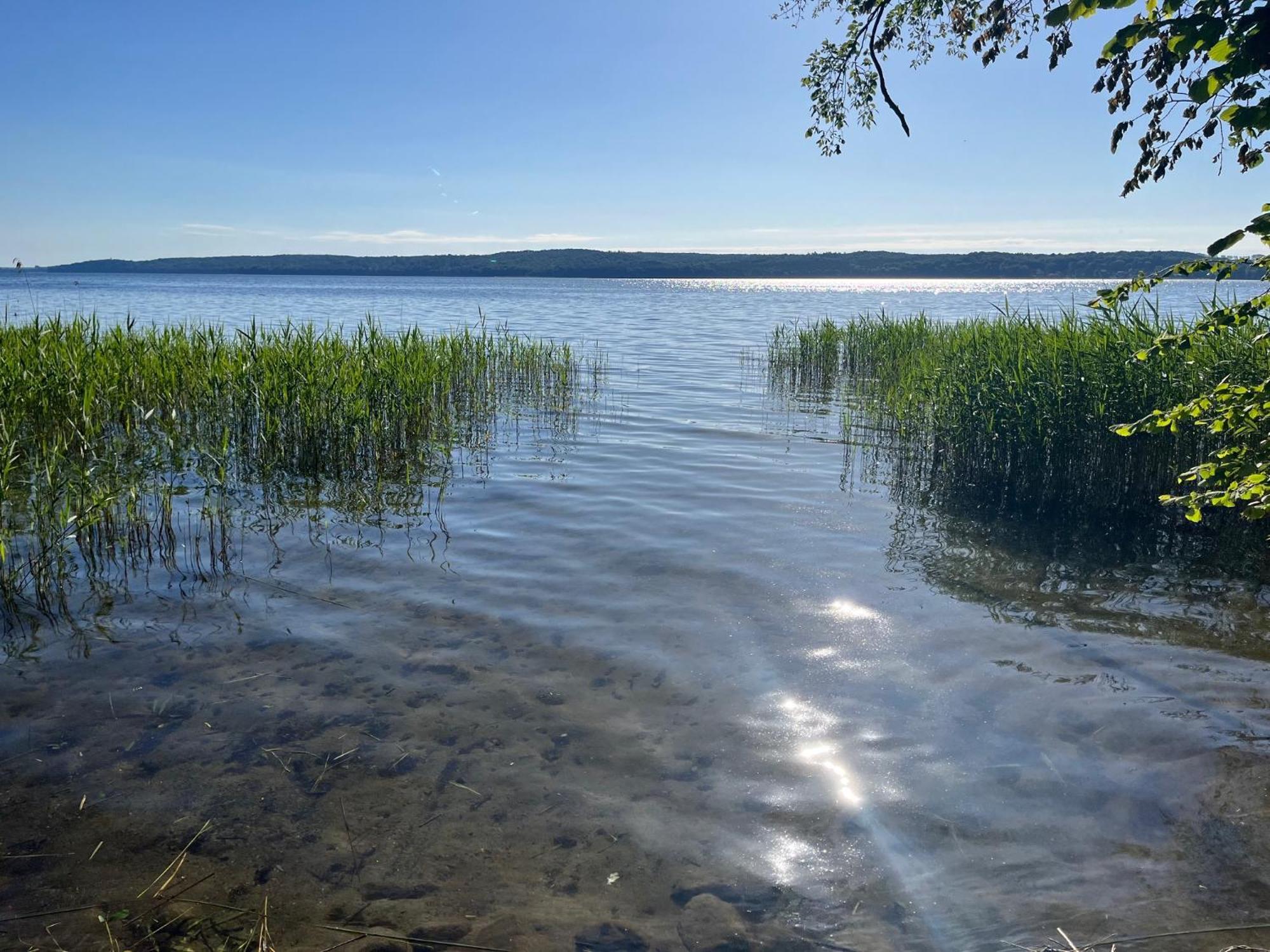 Pfarrhaus Tollensesee Penzlin Экстерьер фото