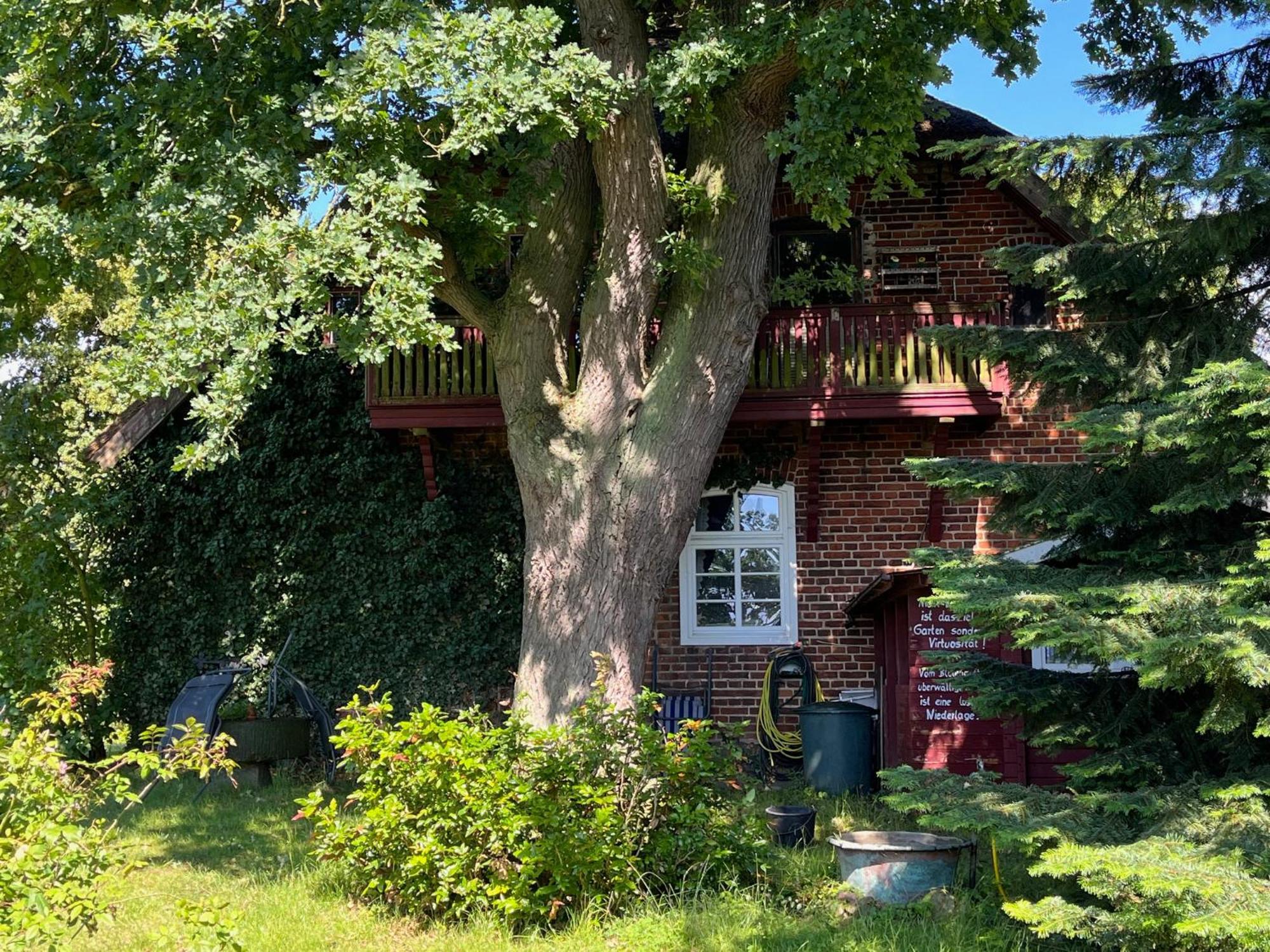 Pfarrhaus Tollensesee Penzlin Экстерьер фото