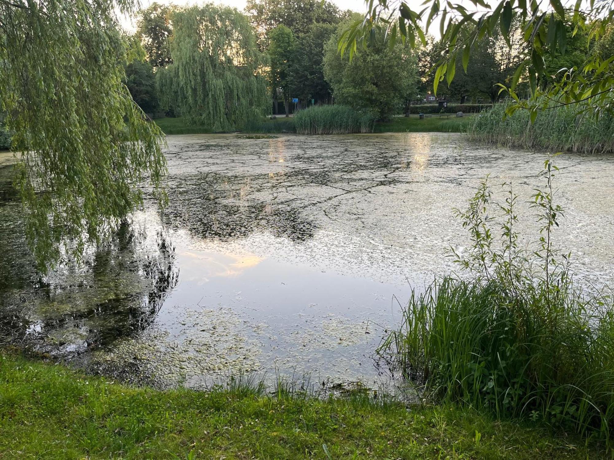 Pfarrhaus Tollensesee Penzlin Экстерьер фото