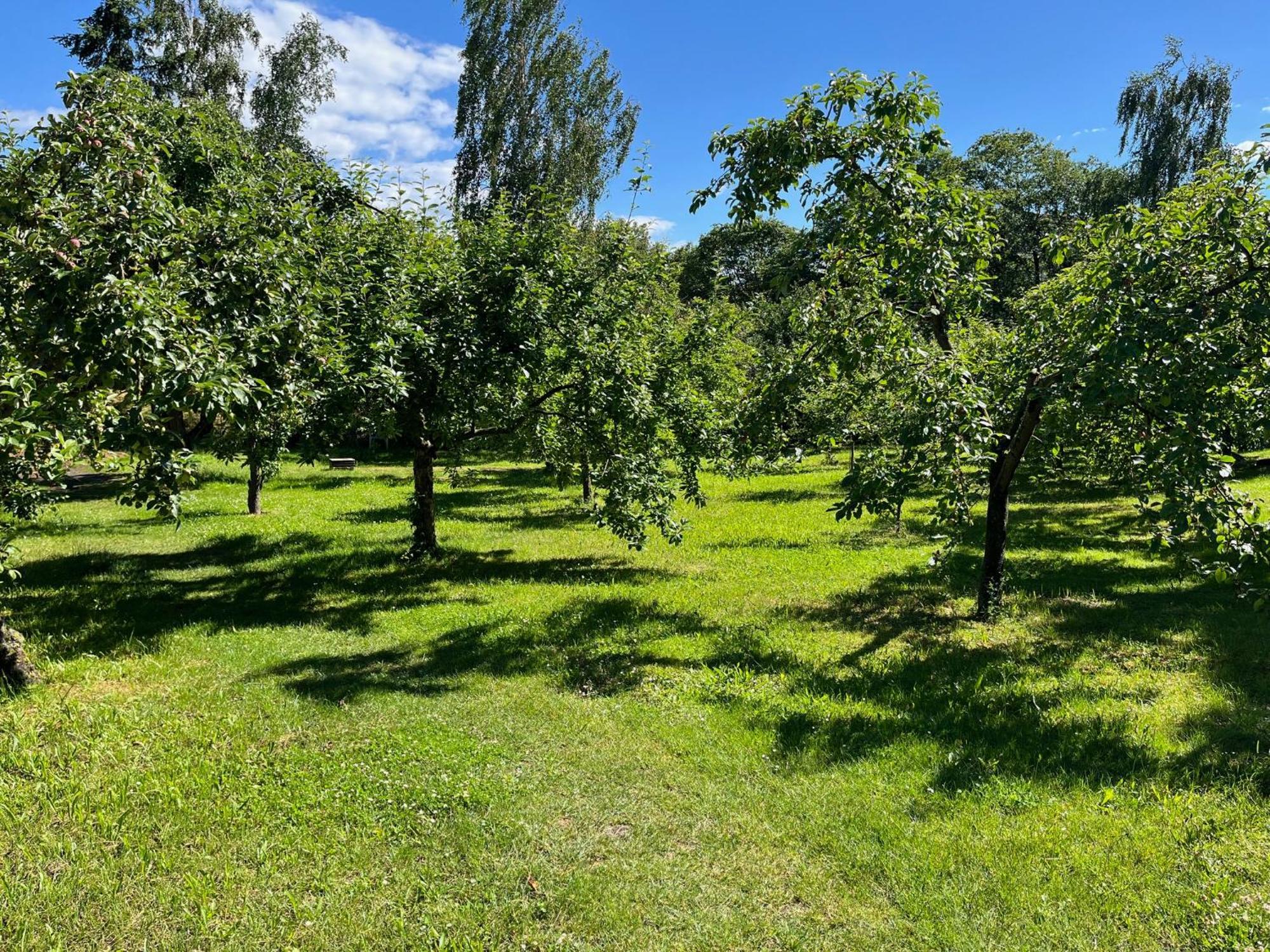 Pfarrhaus Tollensesee Penzlin Экстерьер фото