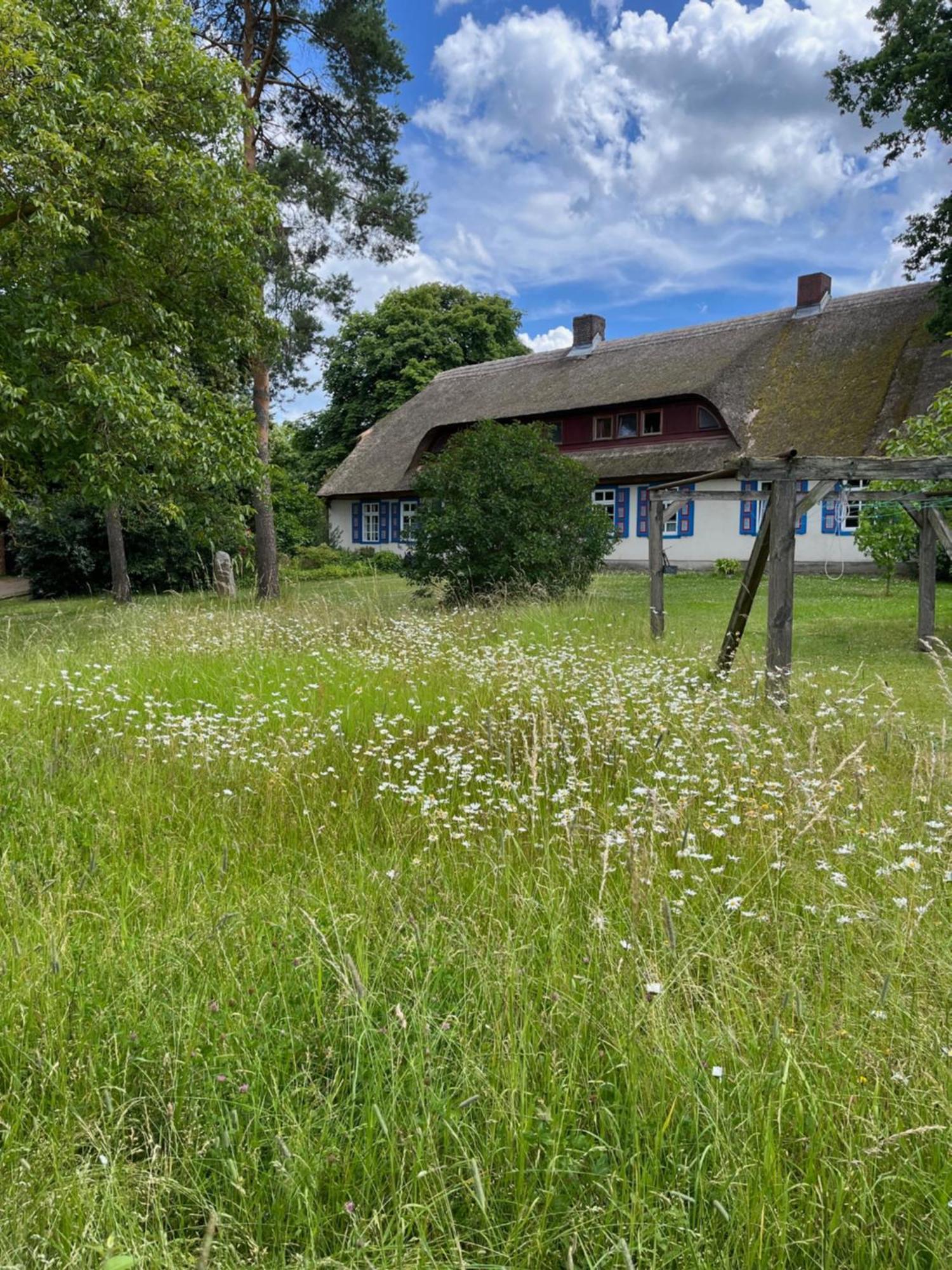 Pfarrhaus Tollensesee Penzlin Экстерьер фото