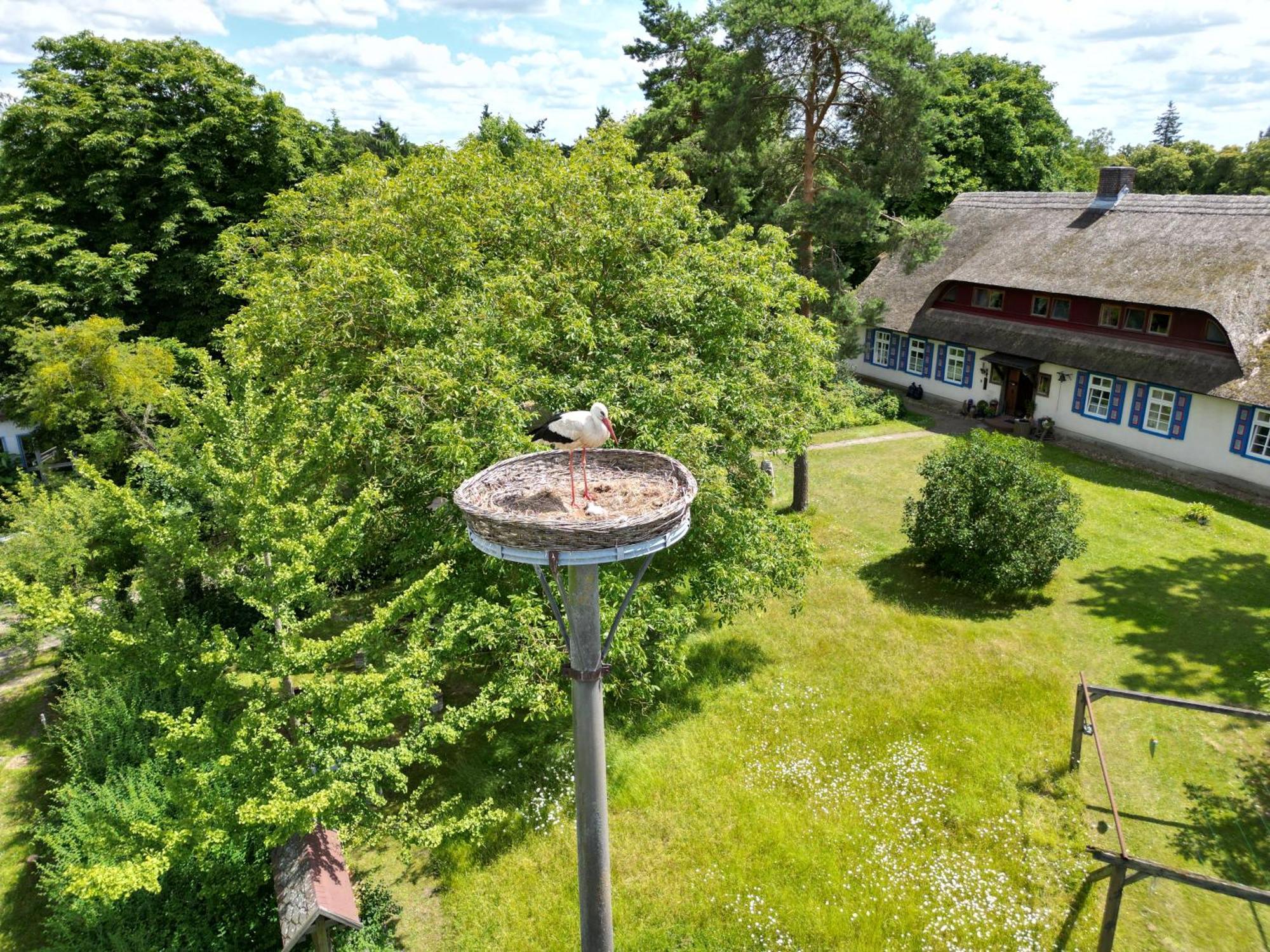 Pfarrhaus Tollensesee Penzlin Экстерьер фото